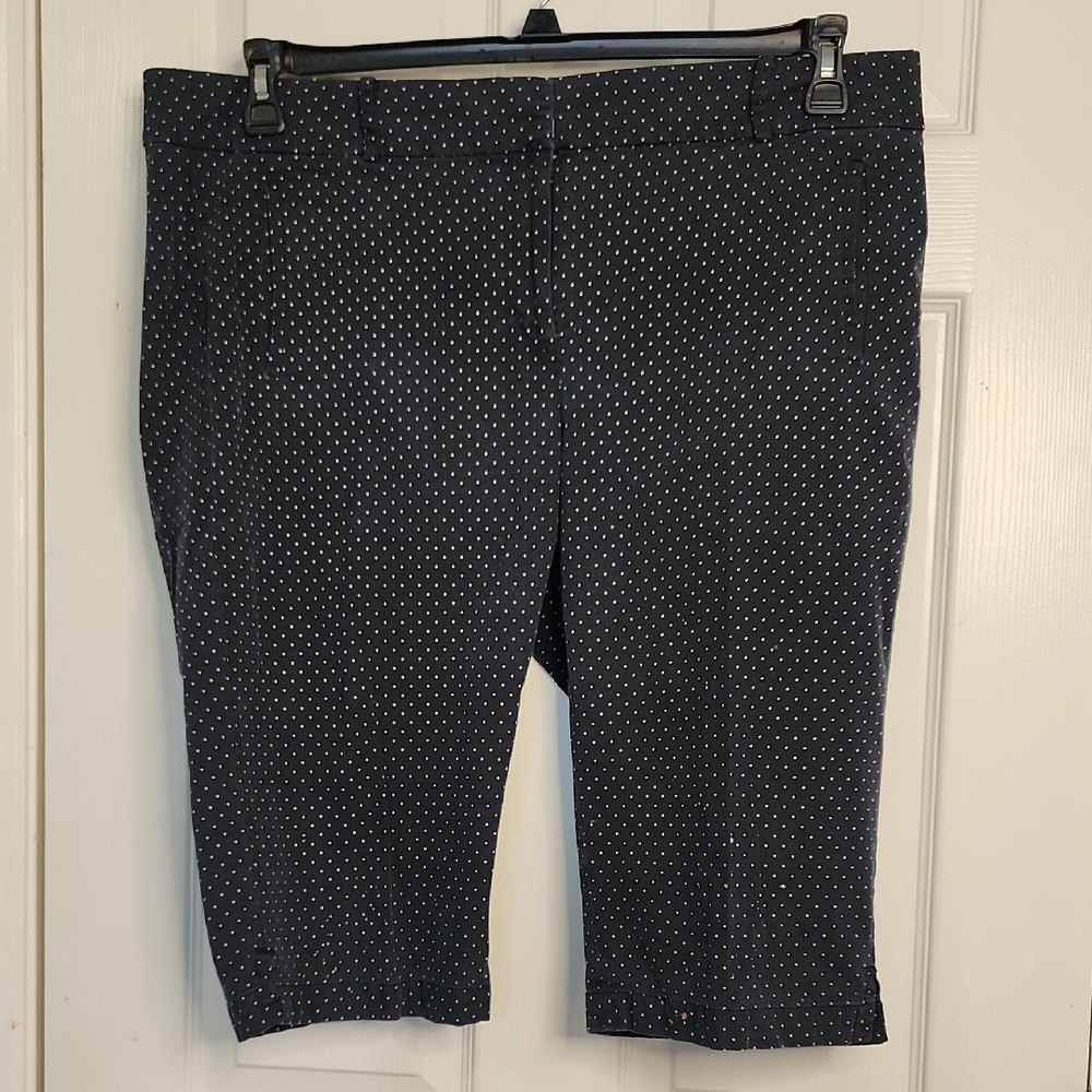 ANN TAYLOR WOMAN'S BERMUDA SHORTS